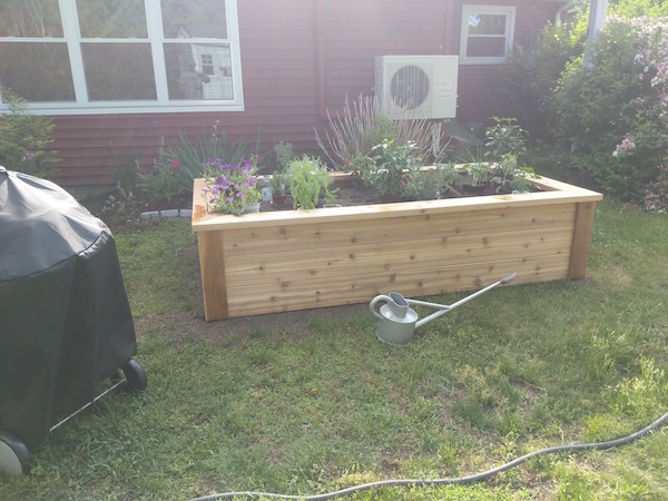 planted raised garden bed