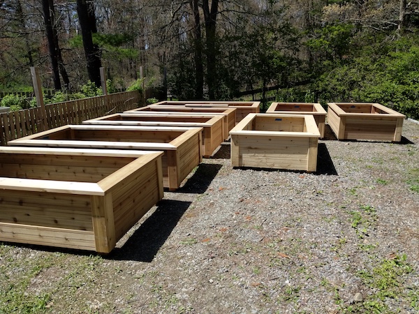raised garden bed boxes