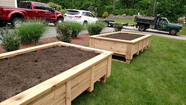 two raised garden beds in a yard