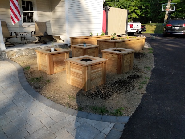 square planting boxes